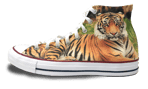 shoe onlye-1